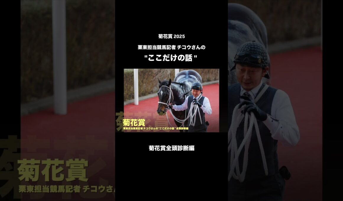 【菊花賞】全頭診断編！栗東担当競馬記者チコウさんの"ここだけの菊花賞の話" #菊花賞 #中央競馬予想 #競馬