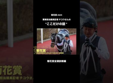 【菊花賞】全頭診断編！栗東担当競馬記者チコウさんの"ここだけの菊花賞の話" #菊花賞 #中央競馬予想 #競馬