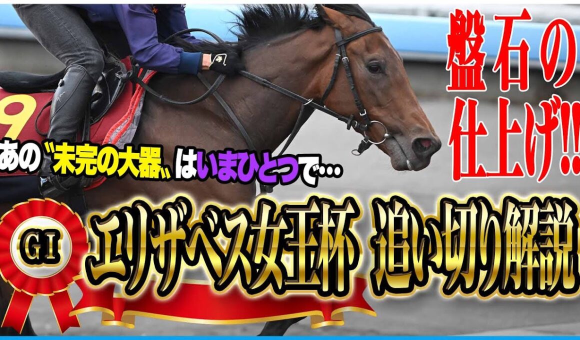 【エリザベス女王杯2024】各出走馬の追い切りを東西記者が徹底解説！