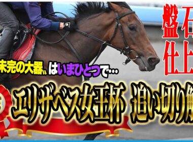 【エリザベス女王杯2024】各出走馬の追い切りを東西記者が徹底解説！