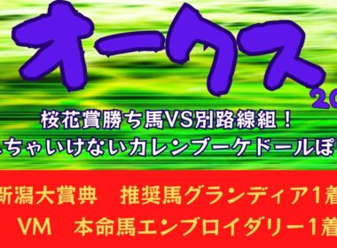 【オークス2026｜優駿牝馬2026】データ予想｜桜花賞勝ち馬vs別路線組！忘れちゃいけないカレンブーケドールぽい馬