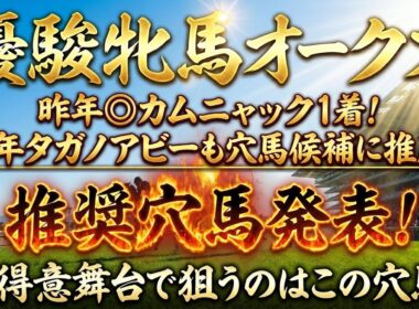 【優駿牝馬オークス2026】推奨穴馬発表！この穴馬流石に舐められすぎ！？大穴狙っていきます！