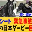 【ダービー】ベレシート、緊急事態発生で無念の日本ダービー回避だが…【競馬反応集】