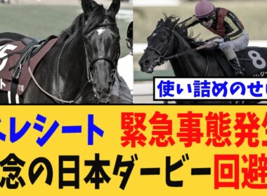 【ダービー】ベレシート、緊急事態発生で無念の日本ダービー回避だが…【競馬反応集】