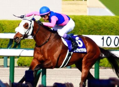 【武豊】大阪杯 メイショウタバル完全版 (パドック～引き上げ)