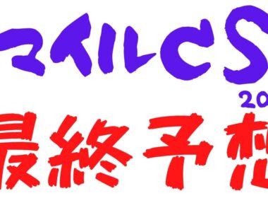 【マイルチャンピオンシップ2025｜マイルCS2025】最終予想｜最強マイラー