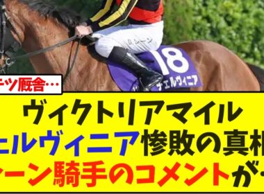 【VM】チェルヴィニア惨敗の真相…レーン騎手のコメントが…【ヴィクトリアマイル】