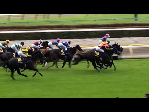 《おめでとう》【現地】ジュウリョクピエロ 今村聖奈 2026 優駿牝馬 オークス 短編(レースのみ)