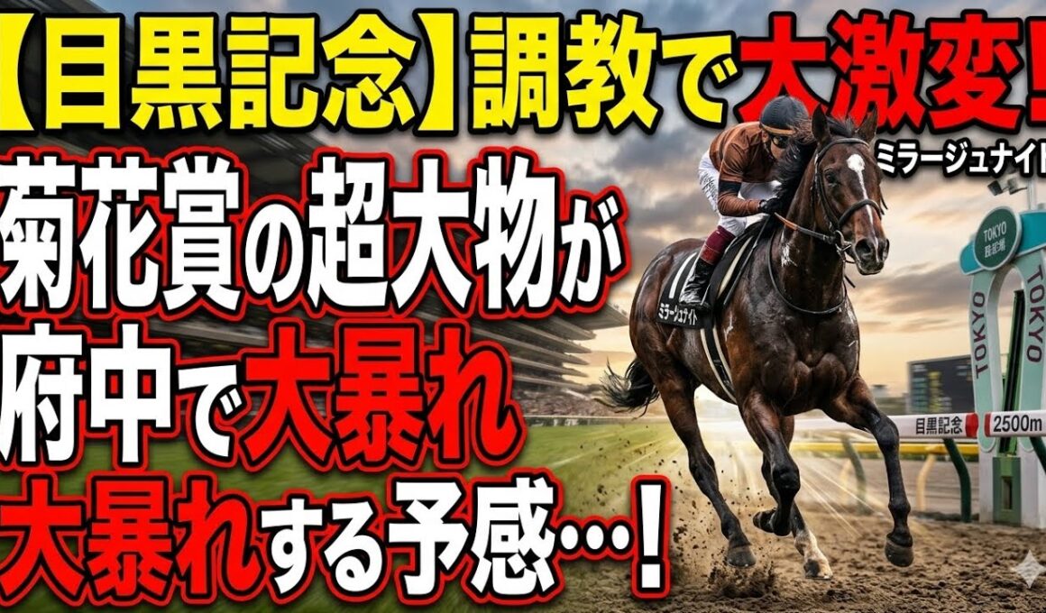 【目黒記念•1週前調教BEST５】菊花賞好走馬ミラージュナイトを凌いだのは同世代のファイアンクランツ