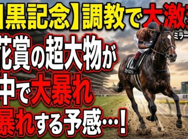 【目黒記念•1週前調教BEST５】菊花賞好走馬ミラージュナイトを凌いだのは同世代のファイアンクランツ