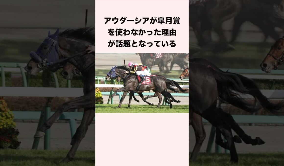 アウダーシアが皐月賞を使わなかった理由が話題となっている #競馬 #競馬予想 #shorts