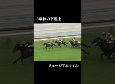 【予告】天皇賞（秋）2025  #競馬 #g1 #シランケド #タスティエーラ #メイショウタバル #ミュージアムマイル #マスカレードボール