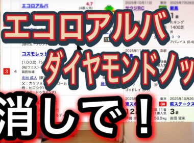 【朝日杯FS競馬予想】消し馬2頭と絶対買うべき馬3頭