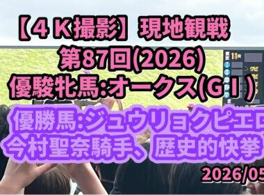 【４Ｋ撮影:現地】第87回オークス(優駿牝馬)(GⅠ):ジュウリョクピエロ(オルフォーヴル産駒)