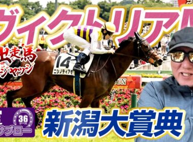 【2026 ヴィクトリアM】【2026 新潟大賞典】出走馬ジャッジ
