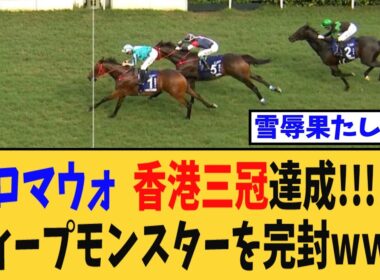 【香港C＆CC】ロマンチックウォリアー香港三冠達成!!ディープモンスターを完璧封殺wwww【競馬反応集】