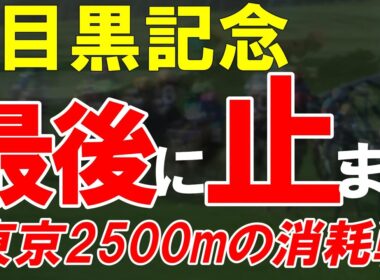目黒記念2026全頭診断｜東京芝Cコースで人気馬が最後に止まる…ダービー直後の消耗戦を徹底分析
