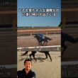 🎯【東京優駿】日本ダービー｜ロブチェンがやばすぎる！