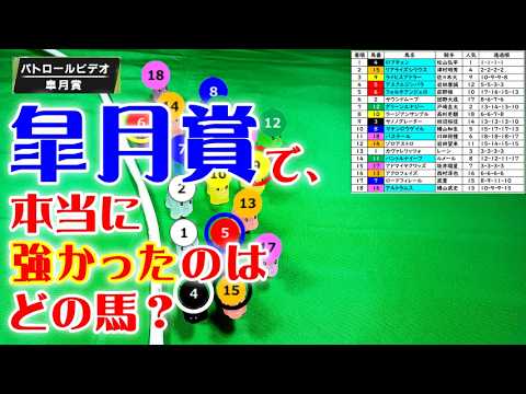 皐月賞2026のパトロールビデオを再現したら、日本ダービー2026が見えてきた！
