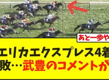 【VM】エリカエクスプレス4着惜敗…武豊のコメントが…【ヴィクトリアマイル】