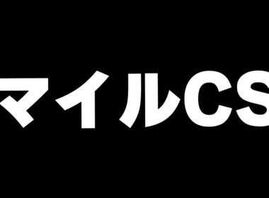 【競馬】マイルチャンピオンシップ2025