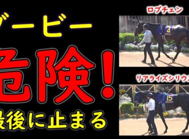 【日本ダービー2026】本命が最後に止まる｜人気馬同士が壊し合う東京2400m“不安材料”を徹底考察