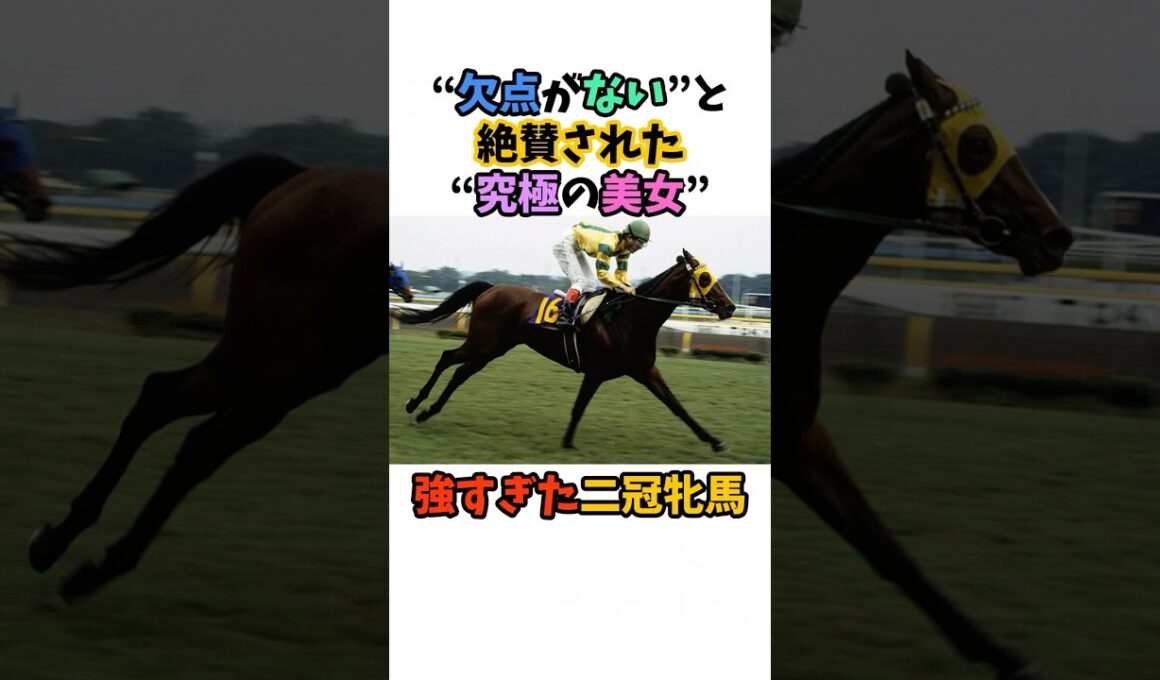 “欠点がない”と絶賛された“究極の美女” 強すぎた二冠牝馬 #競馬 #horse