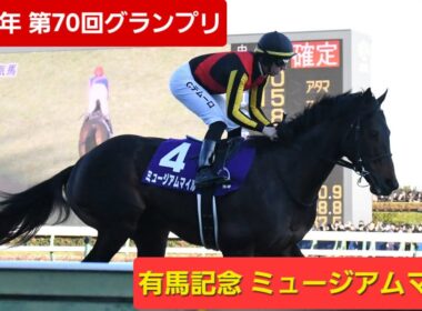 【現地映像】2025年第70回グランプリ有馬記念（G1）優勝馬ミュージアムマイル号
