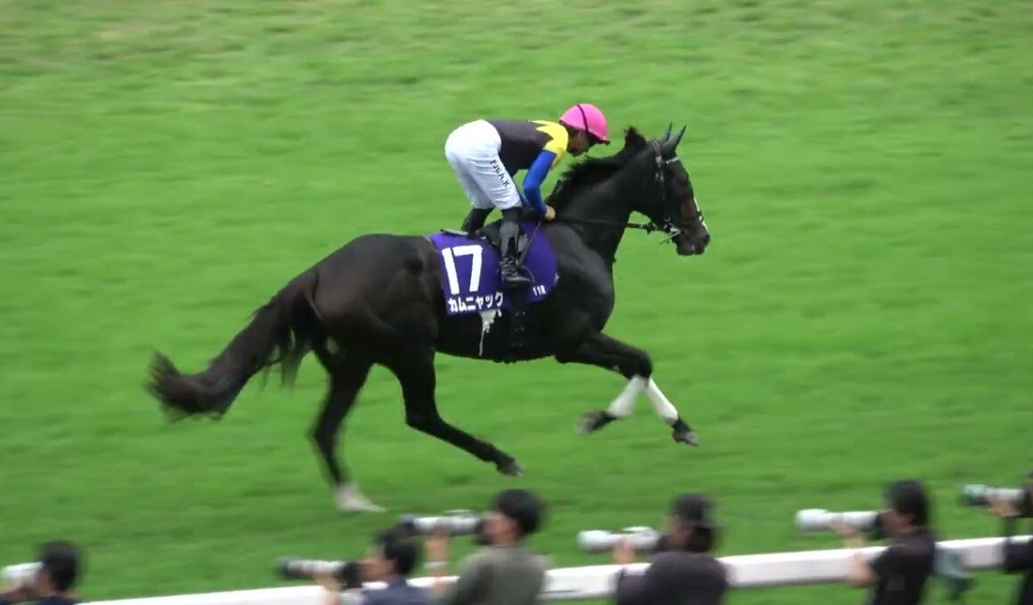 【秋華賞2025】本馬場入場 現地映像 ⑪エンブロイダリー
