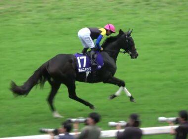 【秋華賞2025】本馬場入場 現地映像 ⑪エンブロイダリー