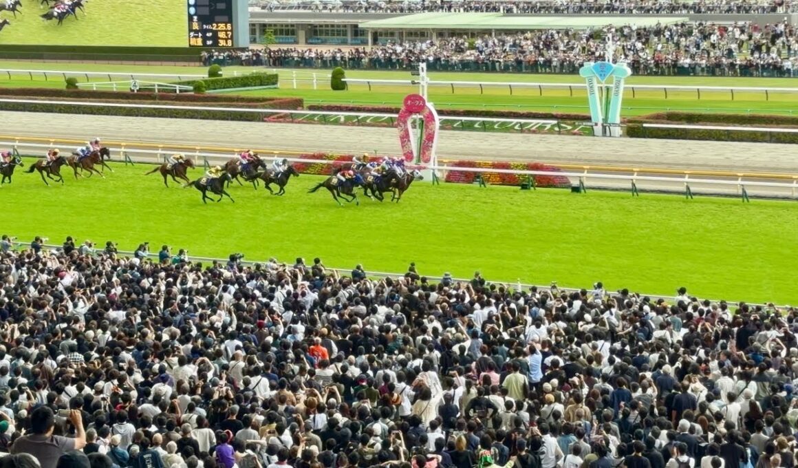 第87回優駿牝馬 （オークス）の煽りV〜ファンファーレ〜レース〜ウイニングラン　今村 聖奈
