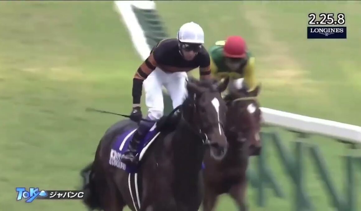 2016年 第36回 ジャパンカップ(G1)(キタサンブラック、武豊)
