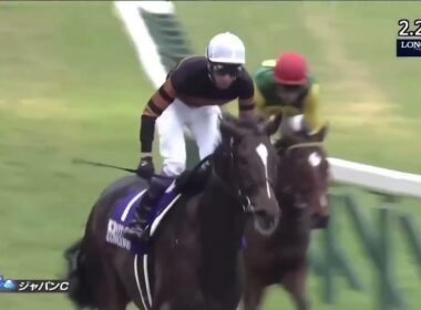 2016年 第36回 ジャパンカップ(G1)(キタサンブラック、武豊)