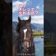 川田将雅が選んだのはマイネルエンペラーだった