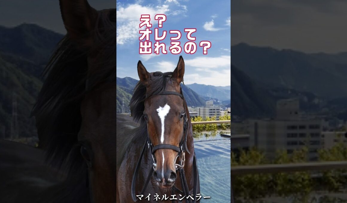 川田将雅が選んだのはマイネルエンペラーだった