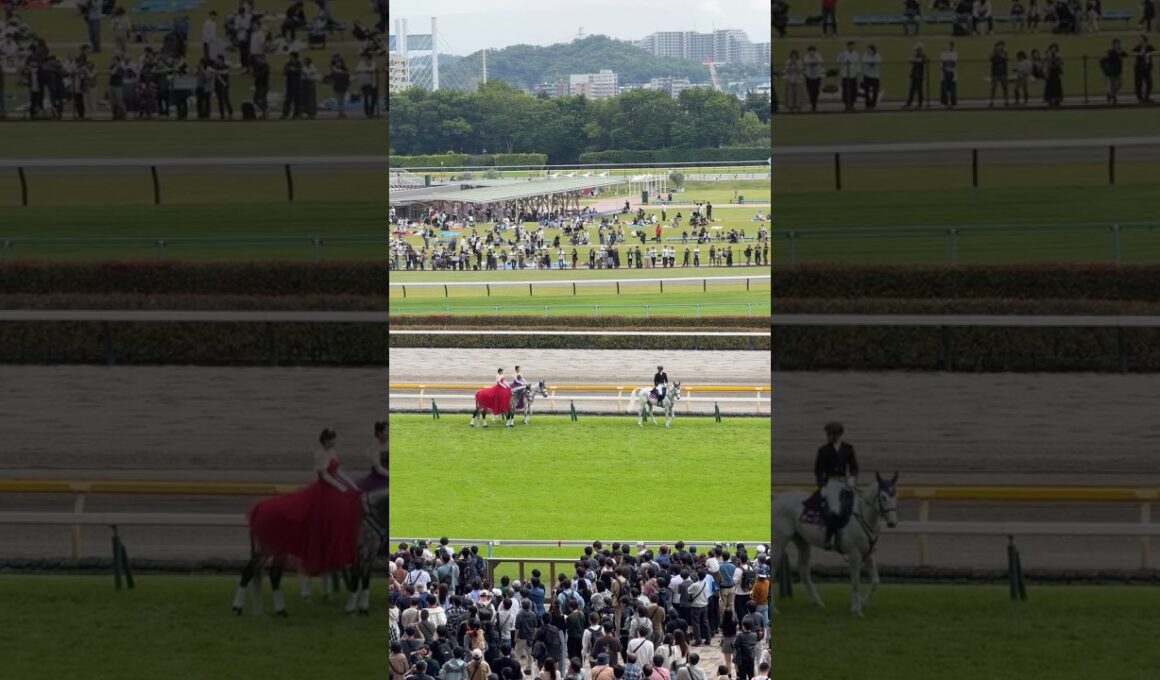 オークス（優駿牝馬）の誘導馬