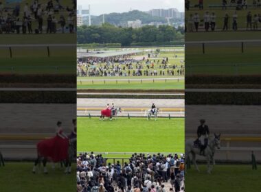 オークス（優駿牝馬）の誘導馬