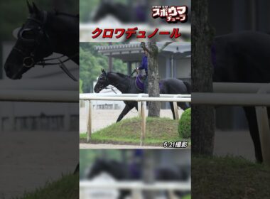 【宝塚記念ファン投票中間発表1位】クロワデュノール　栗東での様子
