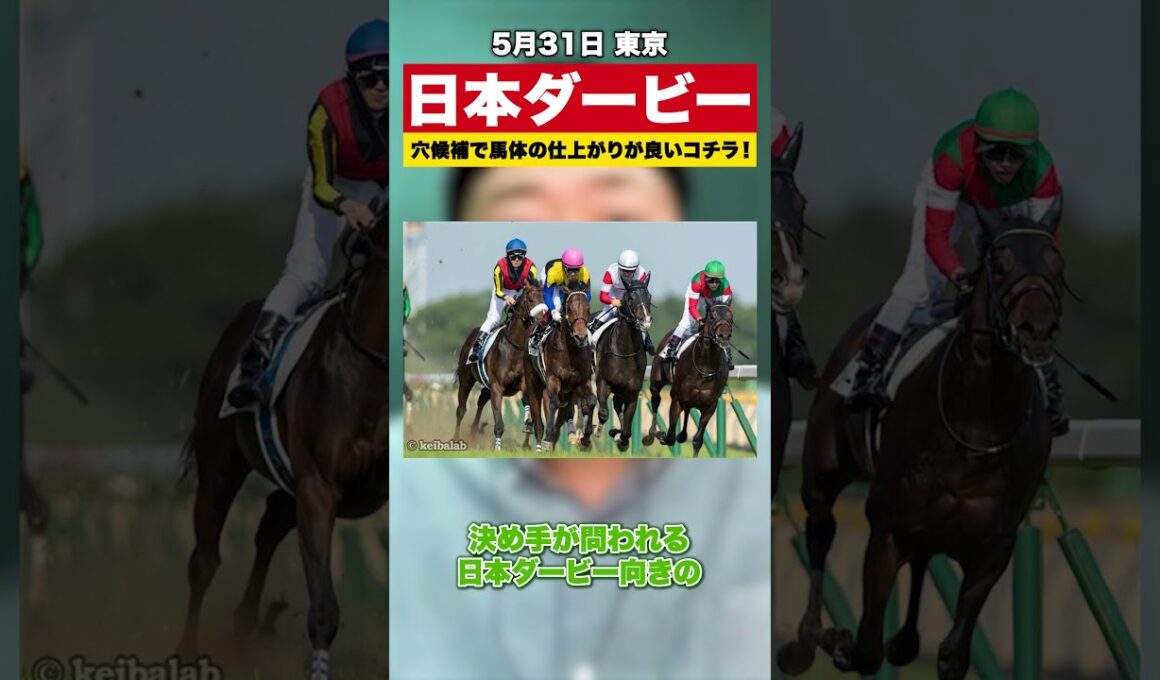 【日本ダービー2026】レース適性◎『斜尻』で瞬発力型の馬を穴候補でオススメ【スポナビ競馬】
