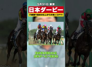 【日本ダービー2026】レース適性◎『斜尻』で瞬発力型の馬を穴候補でオススメ【スポナビ競馬】