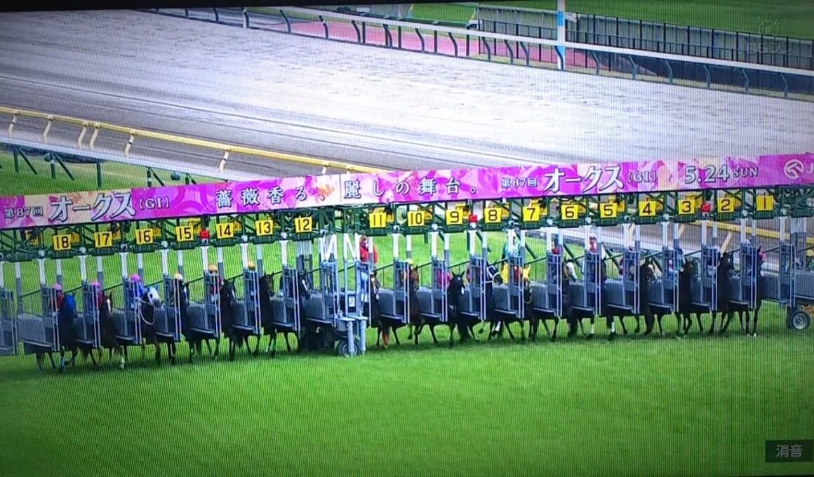 2026/5/24 第87回 優駿牝馬 (オークス)【2冠へスターアニスVSTR快勝ラフターラインズ ドリームコア、エンネも虎視眈々 ジュウリョクピエロ×クラシック初騎乗今村聖奈も出走】