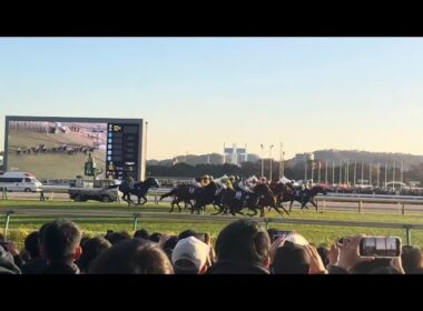 2025ジャパンカップ　川田将雅落馬　現地撮影