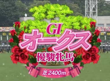 東京11R 優駿牝馬（GⅠ） 〈第87回オークス〉