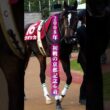 【ウオッカ物語②】当日朝に跛行で出走取消→有馬記念11着→主戦交代　女王に何が起きたのか