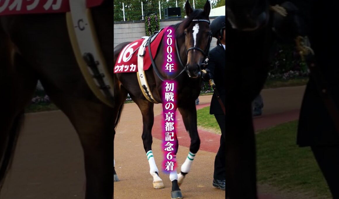 【ウオッカ物語②】当日朝に跛行で出走取消→有馬記念11着→主戦交代　女王に何が起きたのか