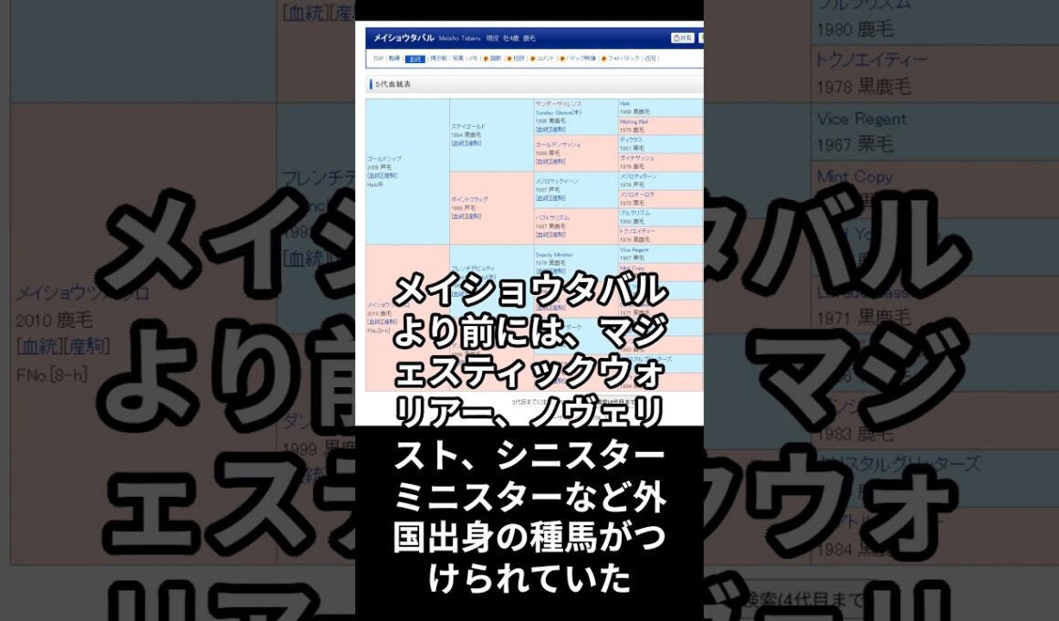 【天皇賞秋 血統調査】メイショウタバル編
