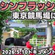【ダービー馬エイシンフラッシュ東京競馬場来場ドキュメント】