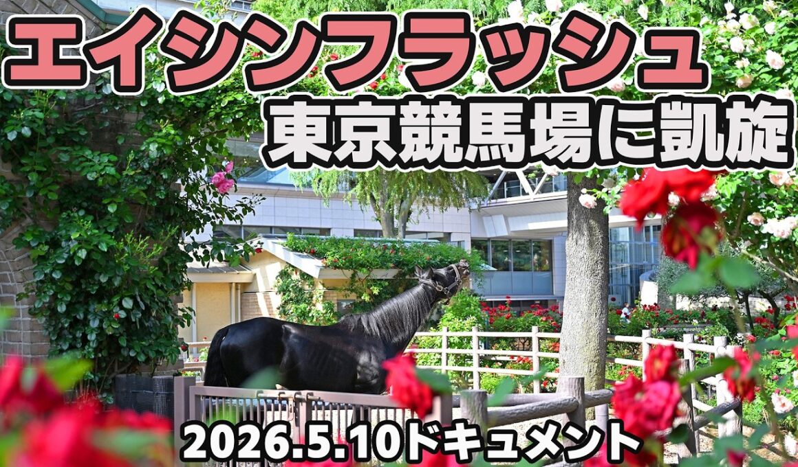 【ダービー馬エイシンフラッシュ東京競馬場来場ドキュメント】