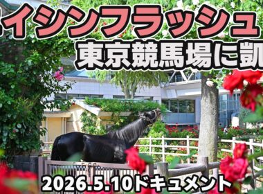 【ダービー馬エイシンフラッシュ東京競馬場来場ドキュメント】