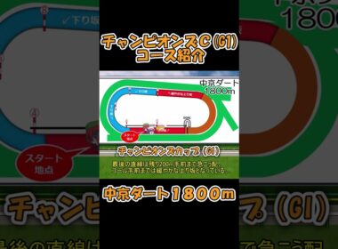 チャンピオンズカップコース紹介